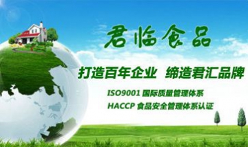 濟南市君臨食品有限公司全景圖