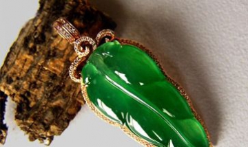 北京石翠閣商貿(mào)有限公司全景圖