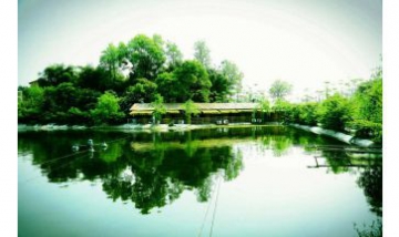 重慶美家農(nóng)業(yè)開發(fā)有限責(zé)任公司全...