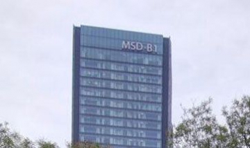 泰達(dá)MSD全景圖