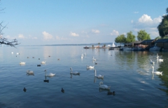 行業(yè)網(wǎng)站建設(shè)、北京網(wǎng)絡(luò)公司　旅游網(wǎng)站建設(shè)