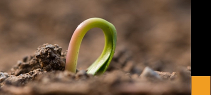 微信小程序、包裝制作小程序