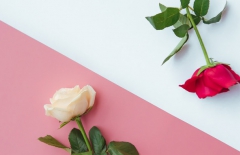 北京網(wǎng)站建設(shè)、北京網(wǎng)站建設(shè)公司、北京網(wǎng)站制作公司、北京網(wǎng)站制作、北京做網(wǎng)站