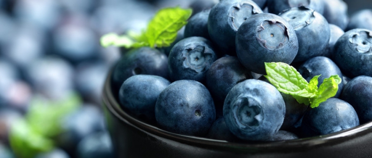 北京網(wǎng)站建設(shè)、北京網(wǎng)站建設(shè)公司、北京網(wǎng)站制作公司、北京專業(yè)網(wǎng)站建設(shè)公司、星誠(chéng)視野、北京專業(yè)網(wǎng)站建設(shè)、北京網(wǎng)站建設(shè)公司、北京星誠(chéng)視野網(wǎng)絡(luò)科技有限公司