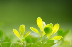 北京網(wǎng)站建設(shè)、北京專業(yè)網(wǎng)頁設(shè)計(jì)、北京專業(yè)網(wǎng)站建設(shè)、北京網(wǎng)絡(luò)公司、北京專業(yè)網(wǎng)站開發(fā)公司、北京企業(yè)網(wǎng)站建設(shè)、北京專業(yè)網(wǎng)站制作公司