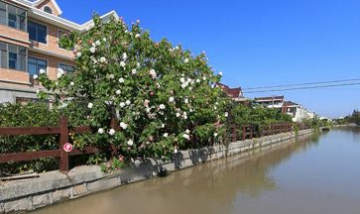 上海久鼎綠化混凝土有限公司全景...